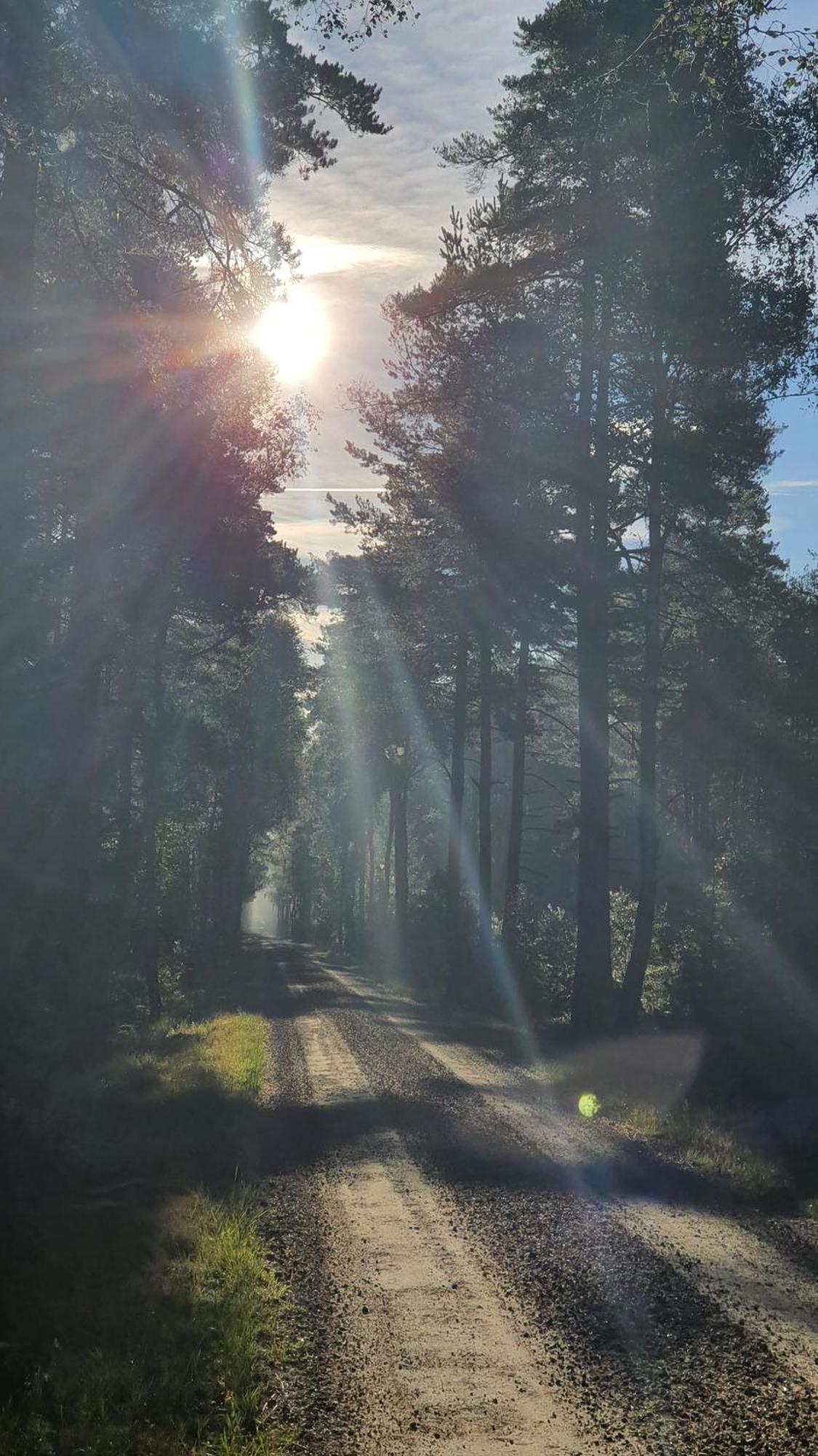 Soedra Ljunga Vandrarhem Ljungby  Dış mekan fotoğraf